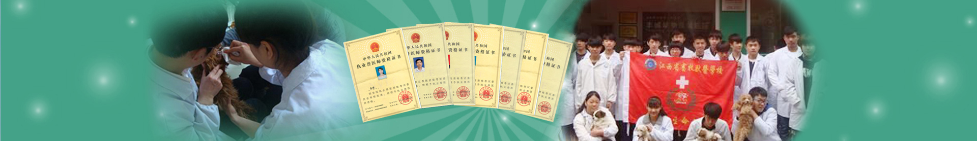 首页轮播3