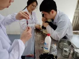 血凝检测实习